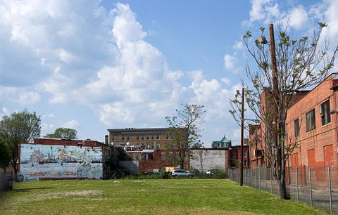 Shaw Spring