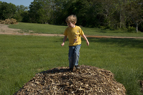 The Hill (Morven Park, Leesburg, VA)