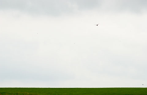 Upperville, Virginia