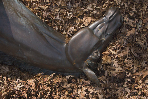 At Rest - Virginia