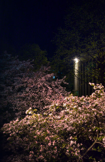 Adelphi University - Garden City, Long Island, NY